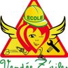 Logo of the association Vendée Z'Ailes